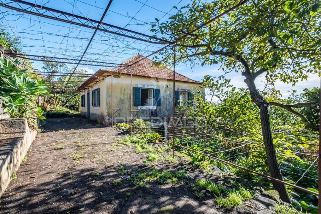 Moradia T4 para Venda em Gaula Foto 1