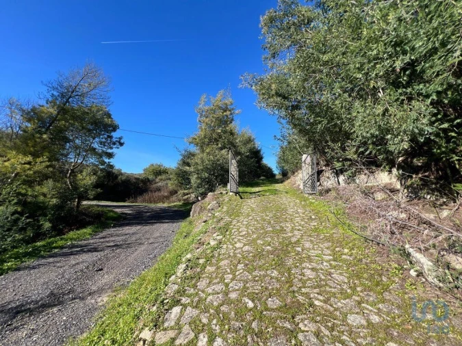 Moradia T3 para Venda em Fornos de Algodres Foto 10