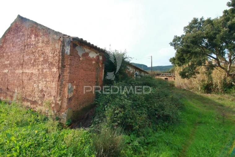 Quinta T6 para Venda em São Teotónio Foto 15