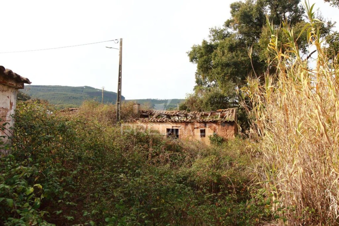 Quinta T6 para Venda em São Teotónio Foto 17