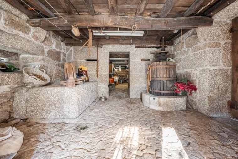 Quinta T9 para Venda em Tabuaças Foto 45