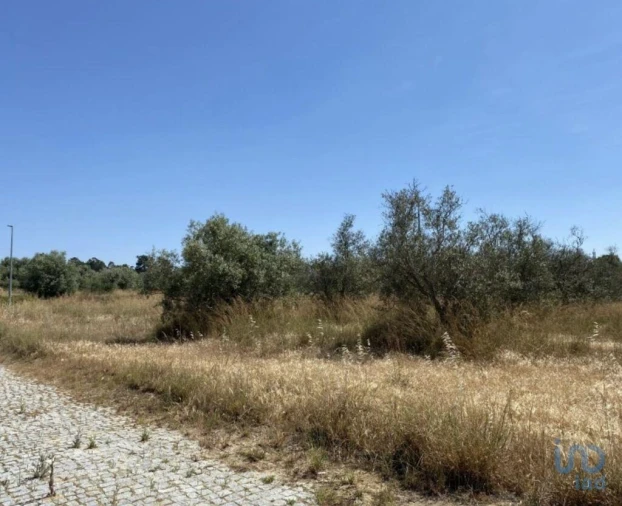 Terreno para Venda em Santa Maria do Castelo e Santiago e Santa Susana Foto 9