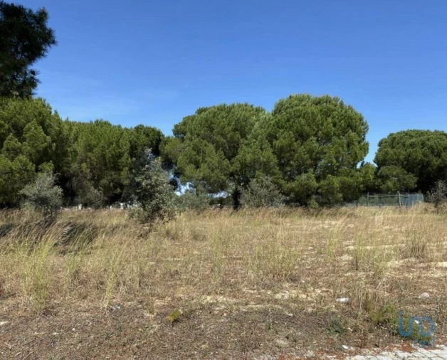 Terreno para Venda em Santa Maria do Castelo e Santiago e Santa Susana Foto 5