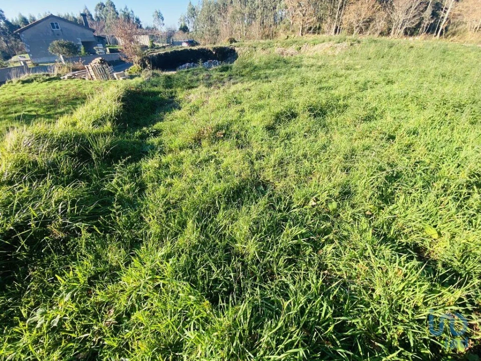 Terreno para Venda em Sopo Foto 2