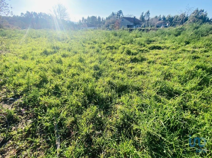 Terreno para Venda em Sopo Foto 3