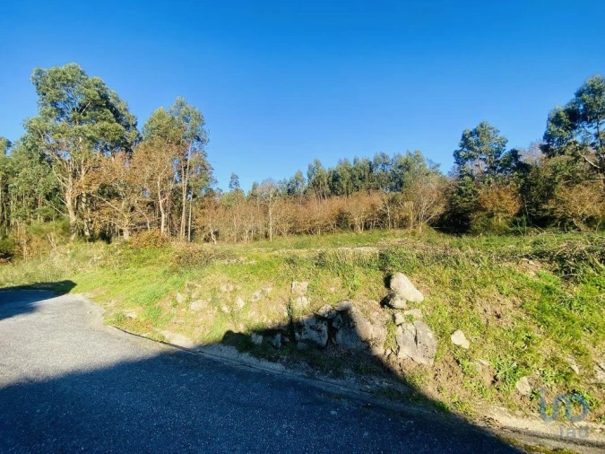 Terreno para Venda em Sopo Foto 7