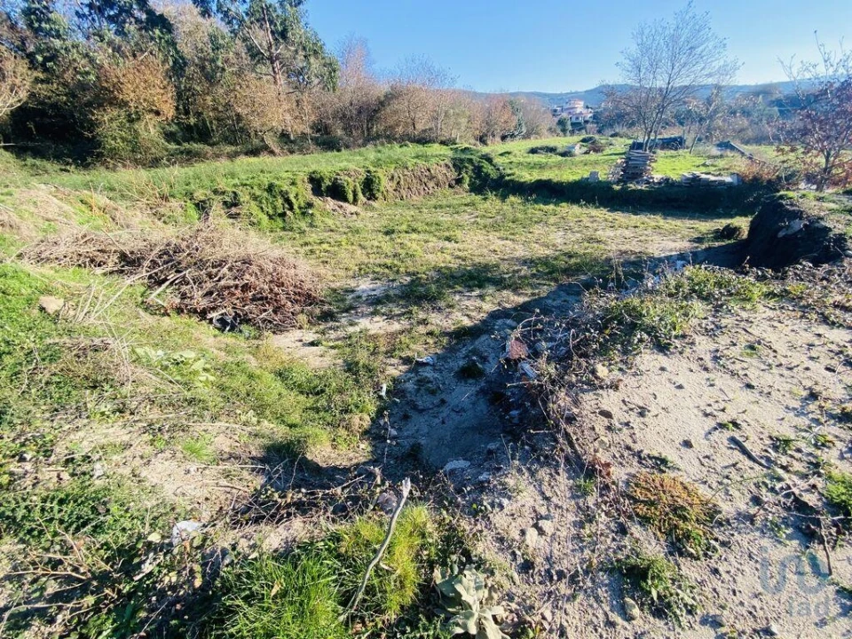 Terreno para Venda em Sopo Foto 4