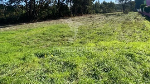 Terreno para Venda em Rio Maior