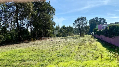 Terreno para Venda em Rio Maior