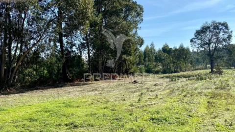 Terreno para Venda em Rio Maior