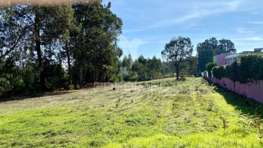 Terreno para Venda em Rio Maior