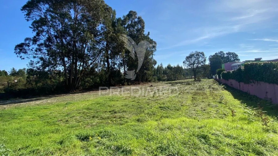 Terreno para Venda em Rio Maior Foto 4