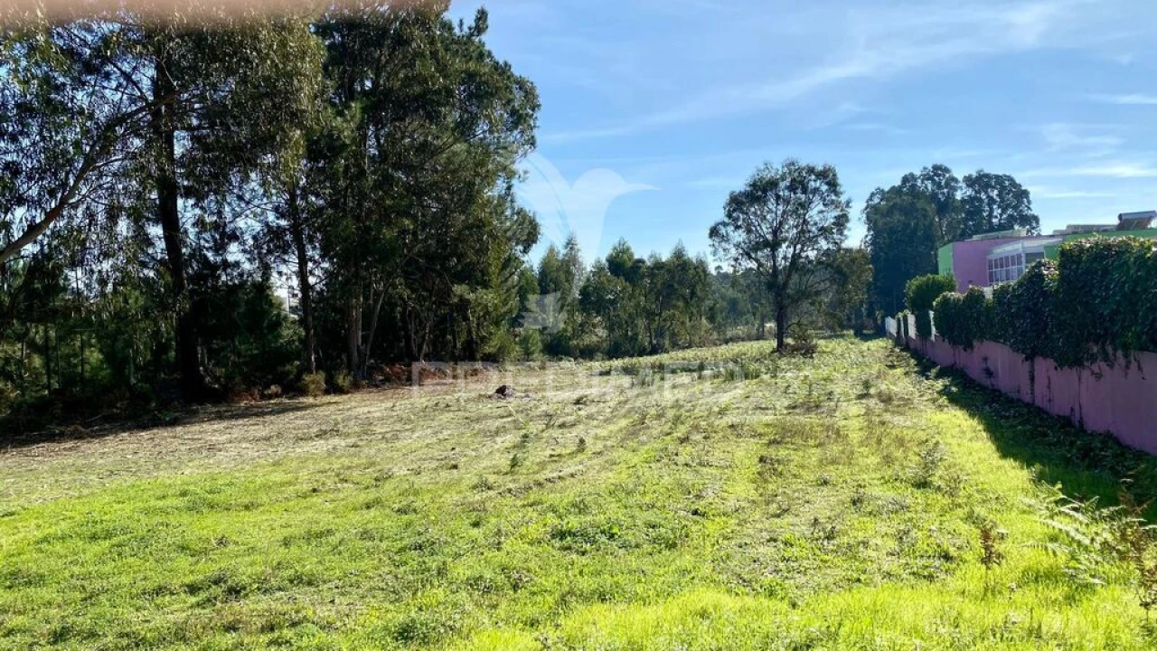 Terreno para Venda em Rio Maior Foto 1