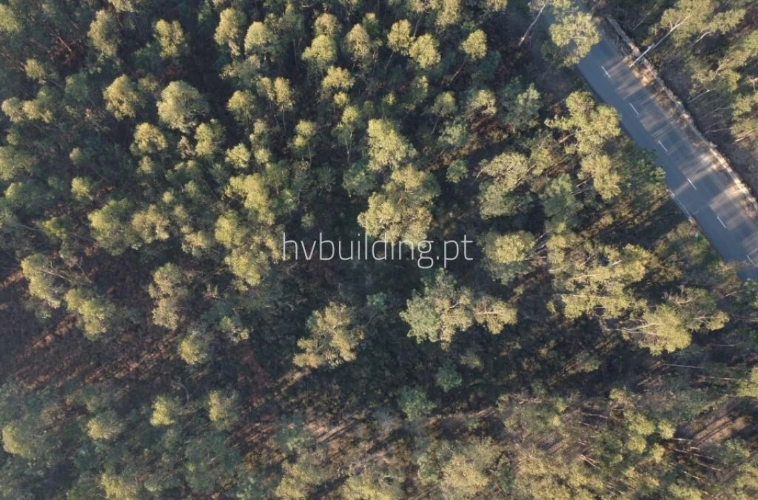 Terreno para Venda em Remelhe Foto 16