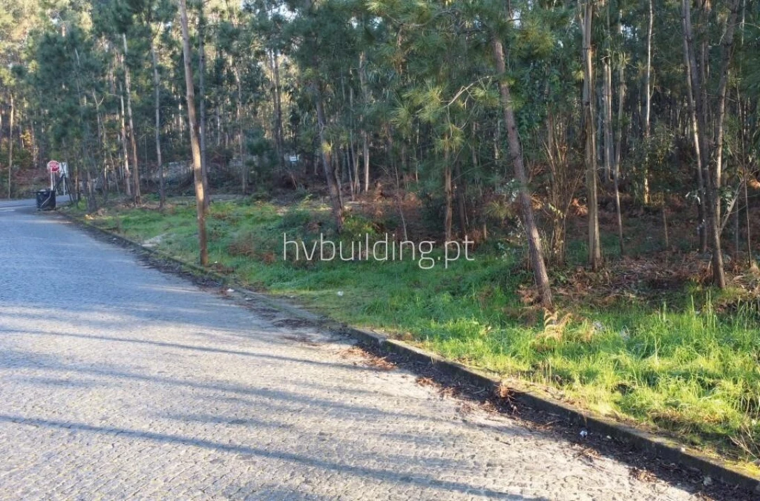 Terreno para Venda em Remelhe Foto 3