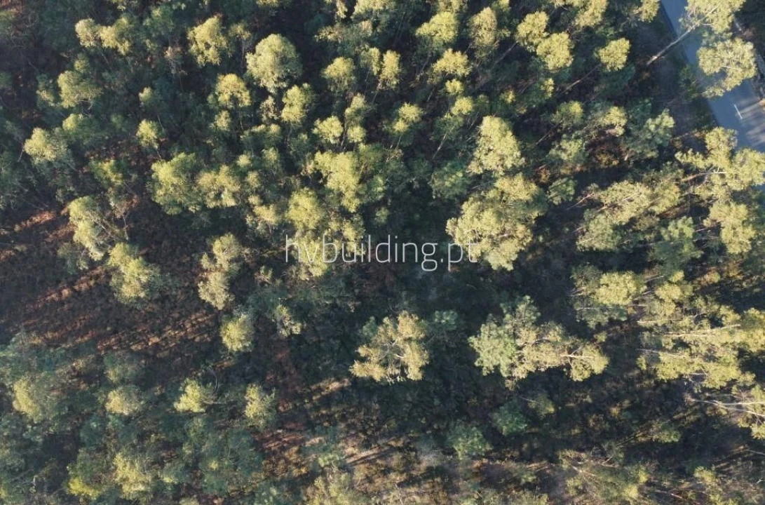 Terreno para Venda em Remelhe Foto 1