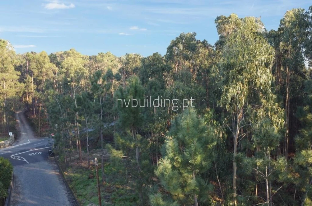 Terreno para Venda em Remelhe Foto 2