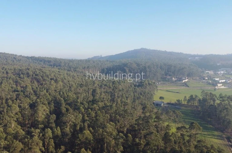 Terreno para Venda em Remelhe Foto 11