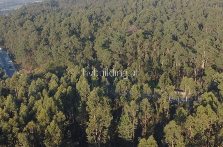 Terreno para Venda em Remelhe Foto 10