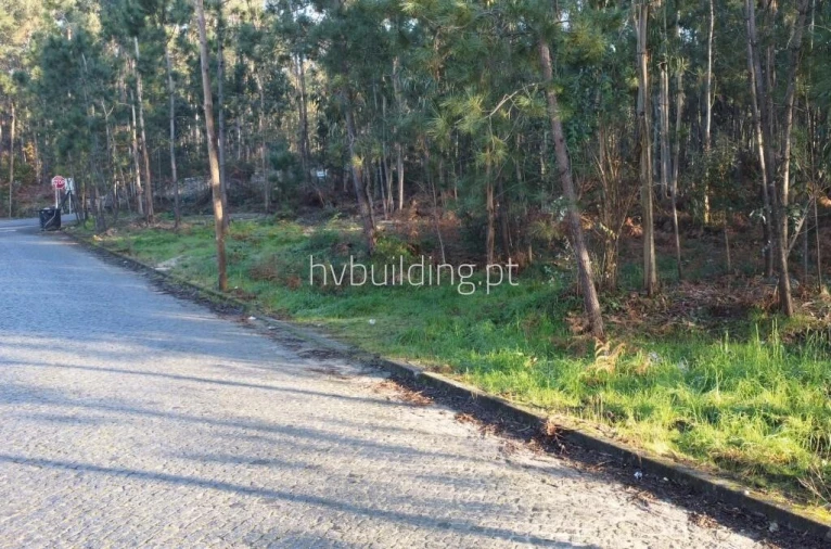 Terreno para Venda em Remelhe Foto 3