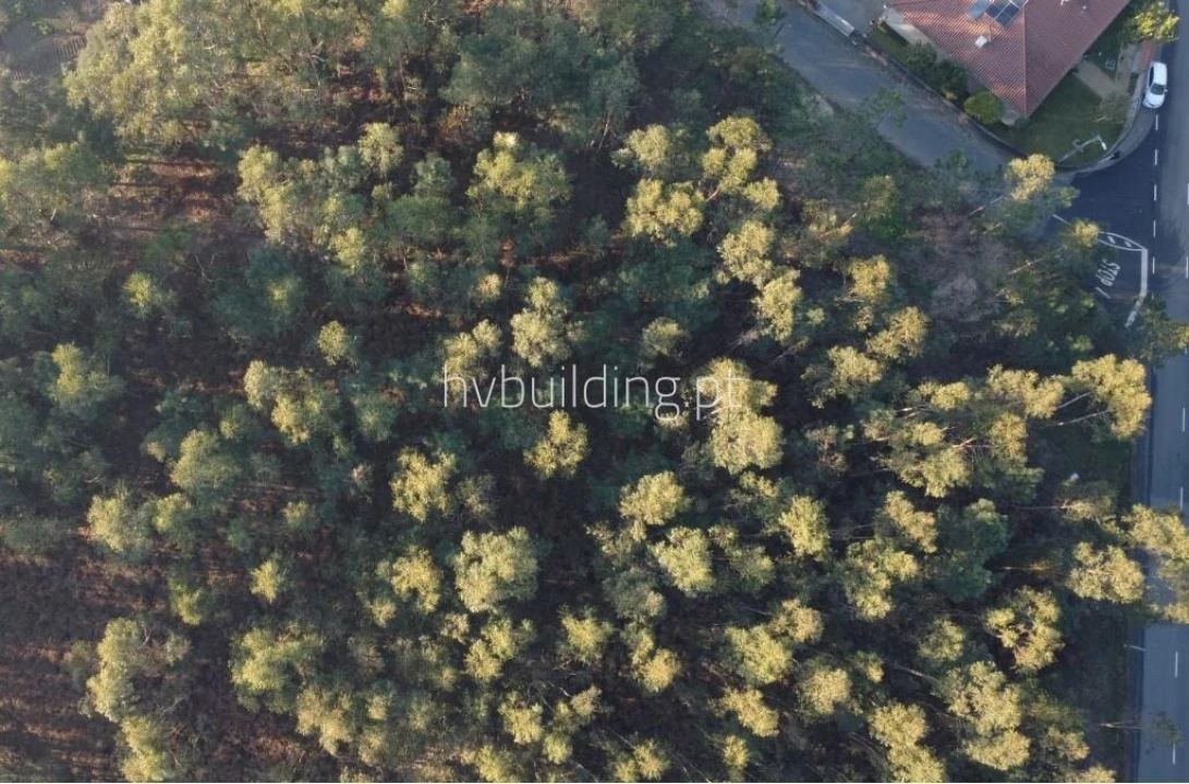 Terreno para Venda em Remelhe Foto 14