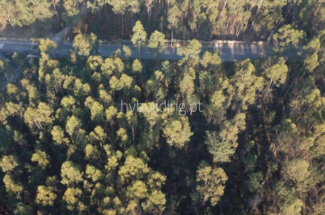 Terreno para Venda em Remelhe Foto 9