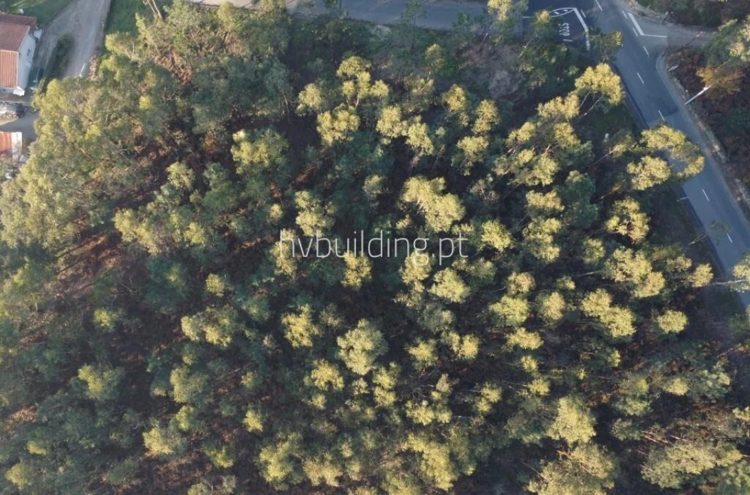 Terreno para Venda em Remelhe Foto 15