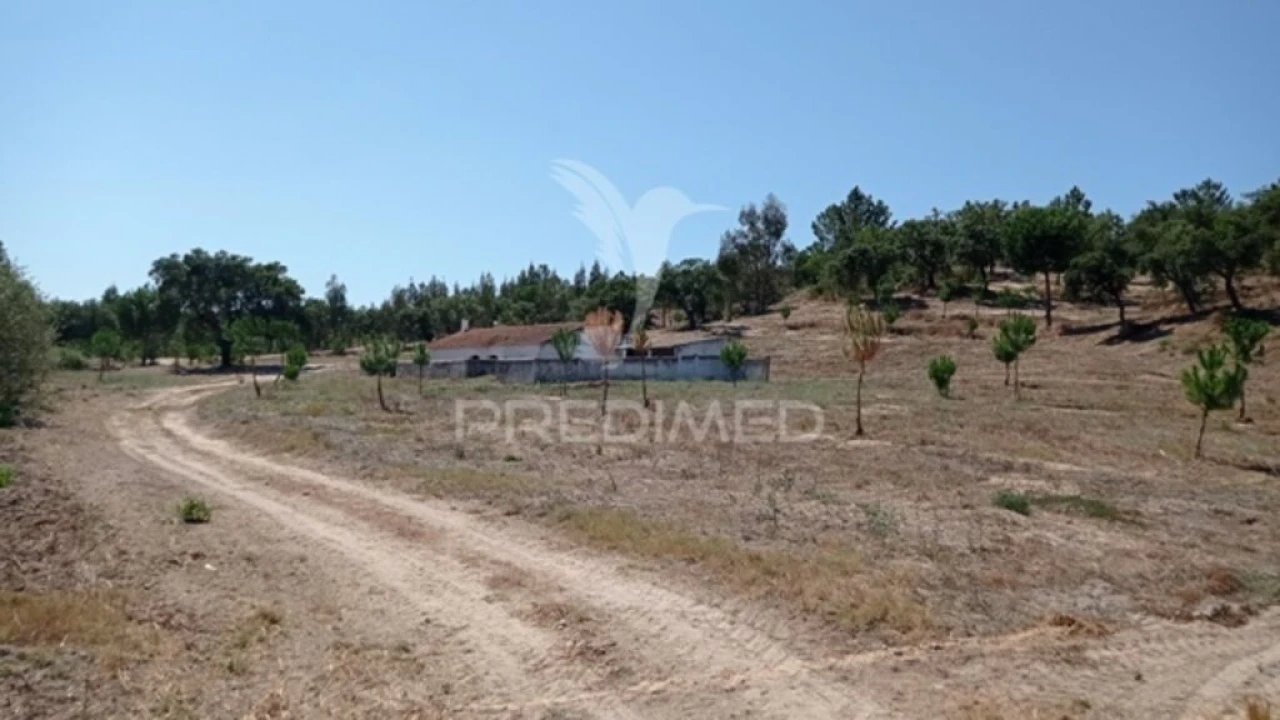 Quinta para Venda em Mora Foto 8