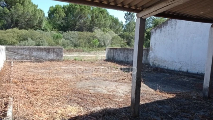 Quinta para Venda em Mora Foto 18