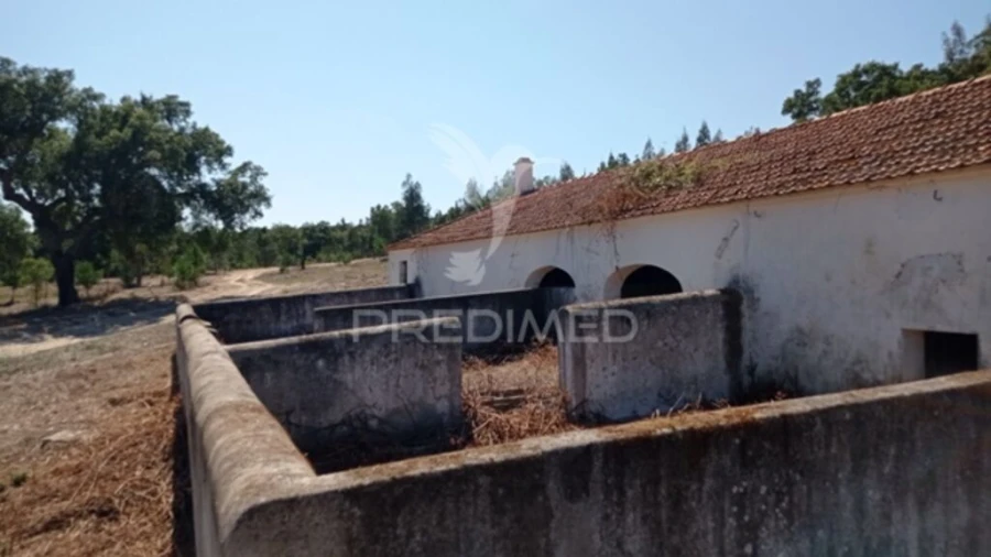 Quinta para Venda em Mora Foto 16