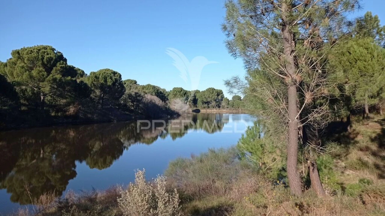Quinta para Venda em Mora Foto 1