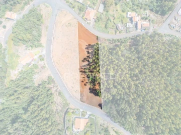 Terreno para Venda em Gaula