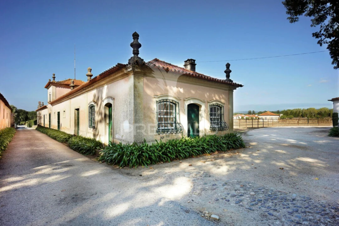 Quinta para Venda em Arcos e Mogofores Foto 5