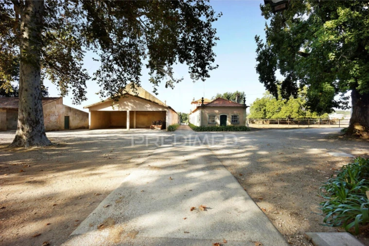 Quinta para Venda em Arcos e Mogofores Foto 4