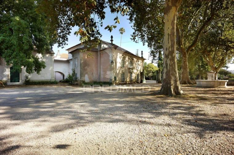 Quinta para Venda em Arcos e Mogofores Foto 7