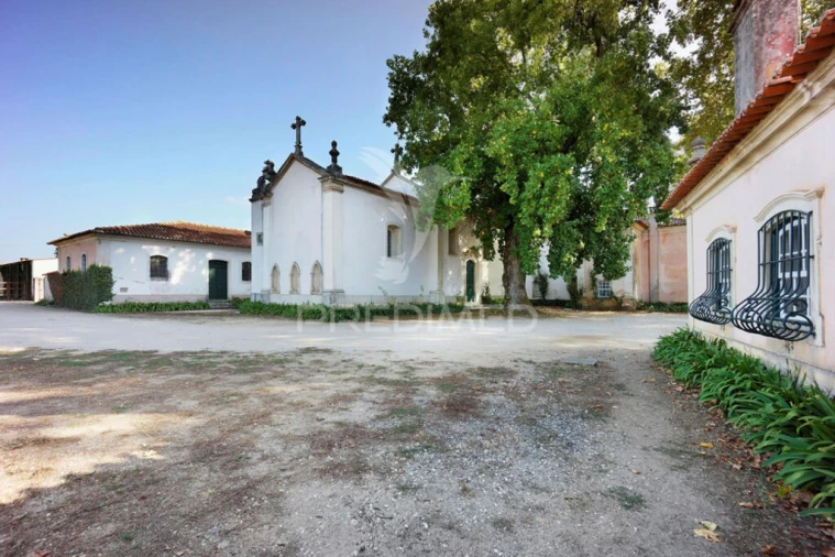 Quinta para Venda em Arcos e Mogofores Foto 8