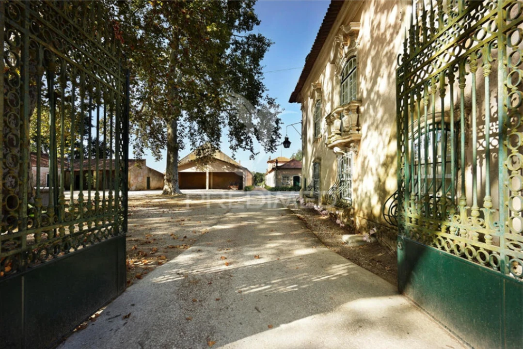 Quinta para Venda em Arcos e Mogofores Foto 3