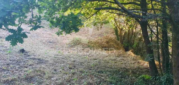 Terreno para Venda em Sandim, Olival, Lever e Crestuma