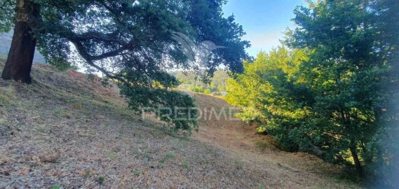 Terreno para Venda em Sandim, Olival, Lever e Crestuma