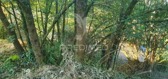 Terreno para Venda em Sandim, Olival, Lever e Crestuma