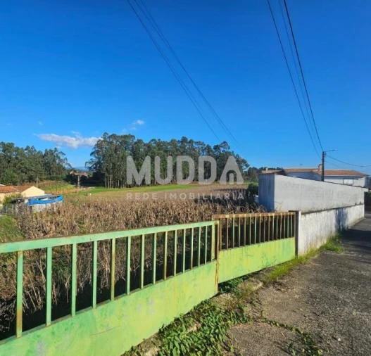 Terreno para Venda em Beduído e Veiros Foto 2