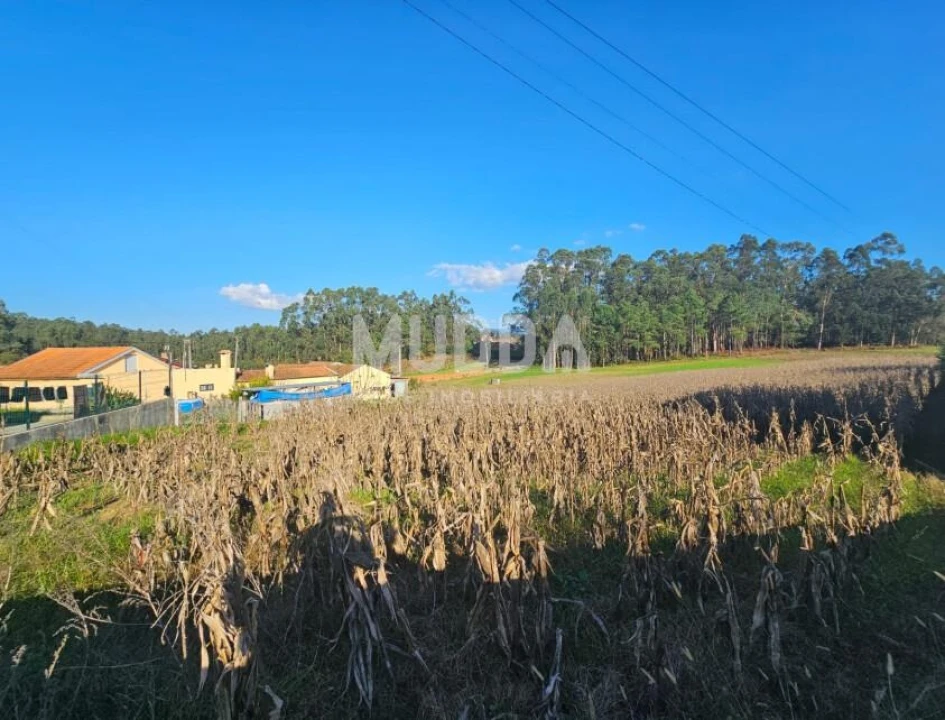 Terreno para Venda em Beduído e Veiros Foto 1