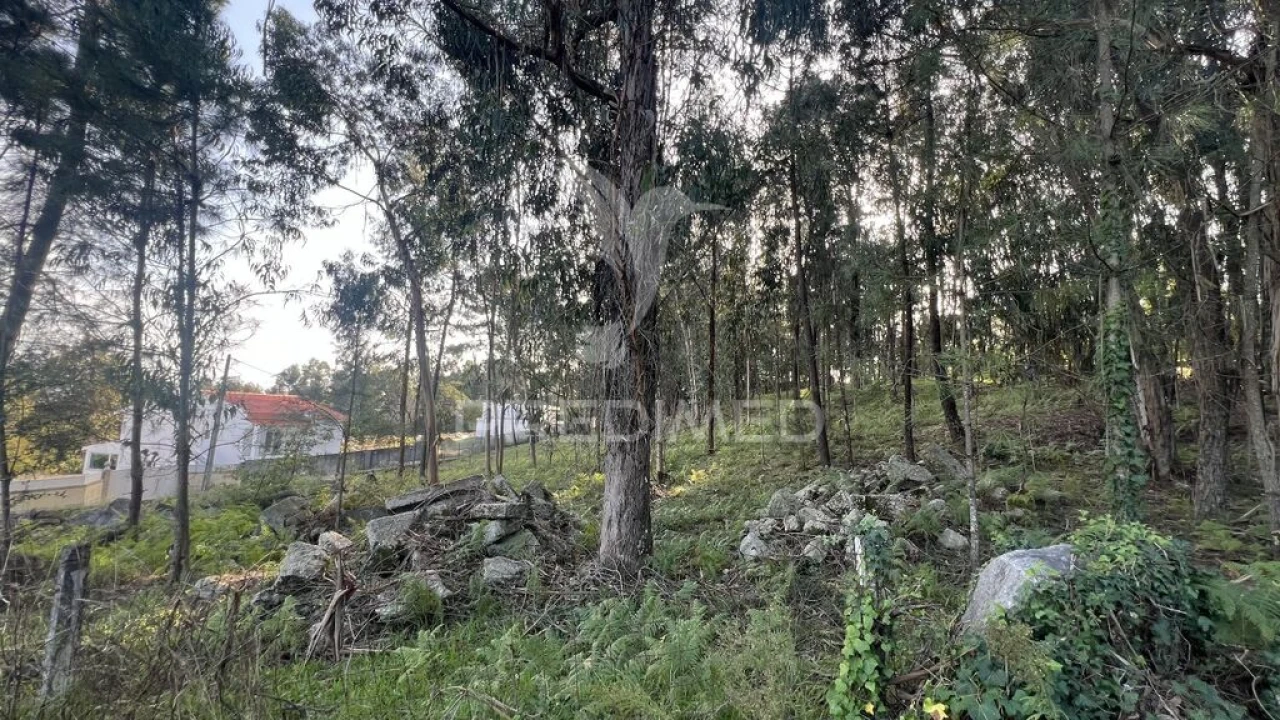 Terreno para Venda em Turiz Foto 12