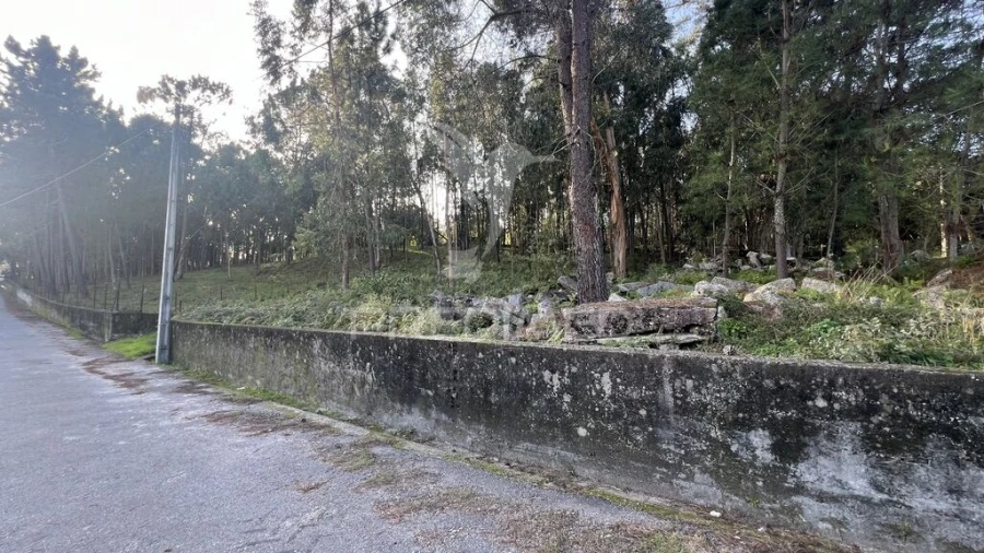Terreno para Venda em Turiz Foto 11