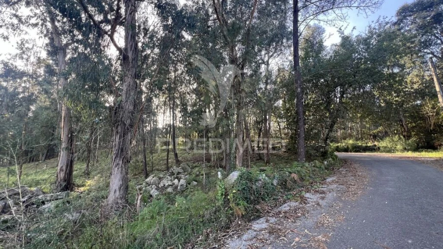 Terreno para Venda em Turiz Foto 9
