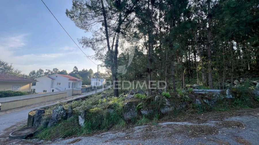 Terreno para Venda em Turiz Foto 5