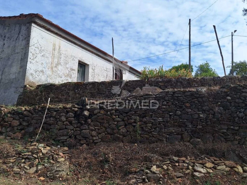 Quinta T1 para Venda em Alegrete Foto 3