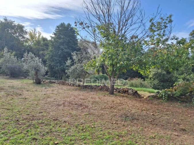 Quinta T1 para Venda em Alegrete Foto 11