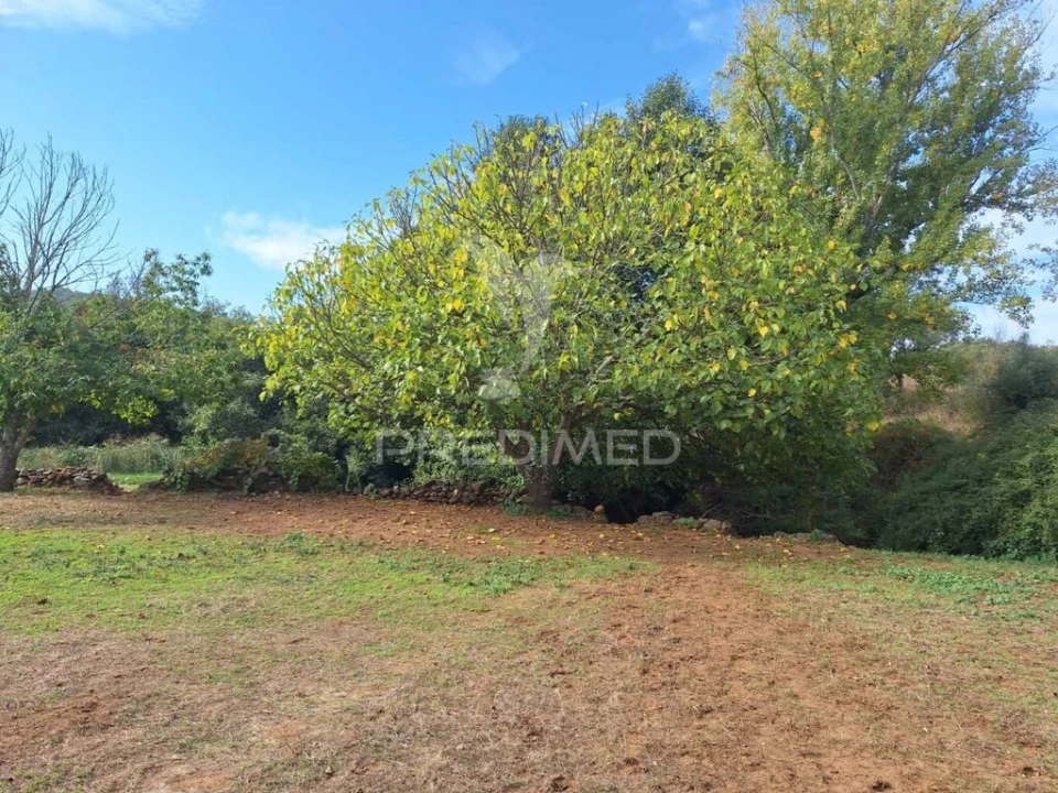 Quinta T1 para Venda em Alegrete Foto 6