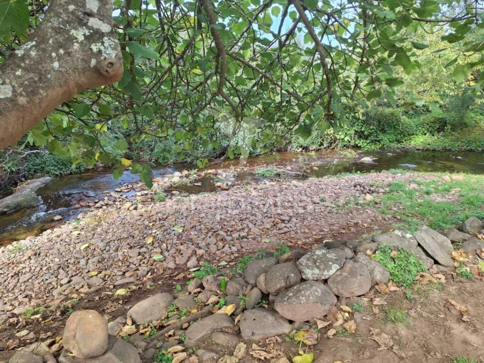 Quinta T1 para Venda em Alegrete Foto 4